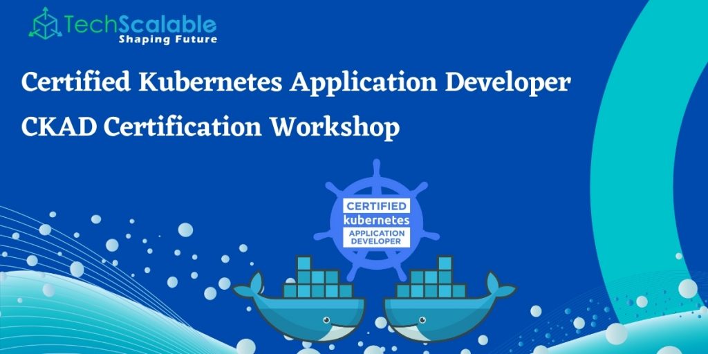 Certified Kubernetes Application Developer (CKAD Sns-Brigh10